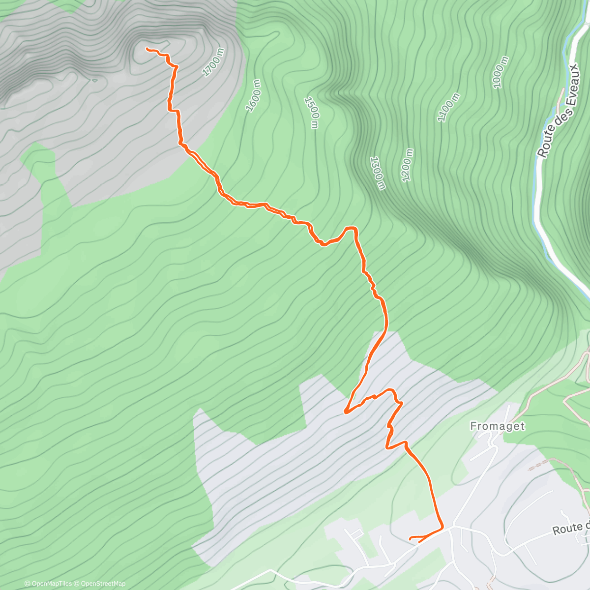 Карта физической активности (Suet 🙌)