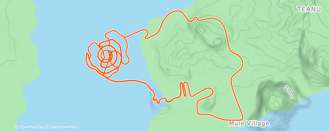Map of the activity, Zwift - pk1
