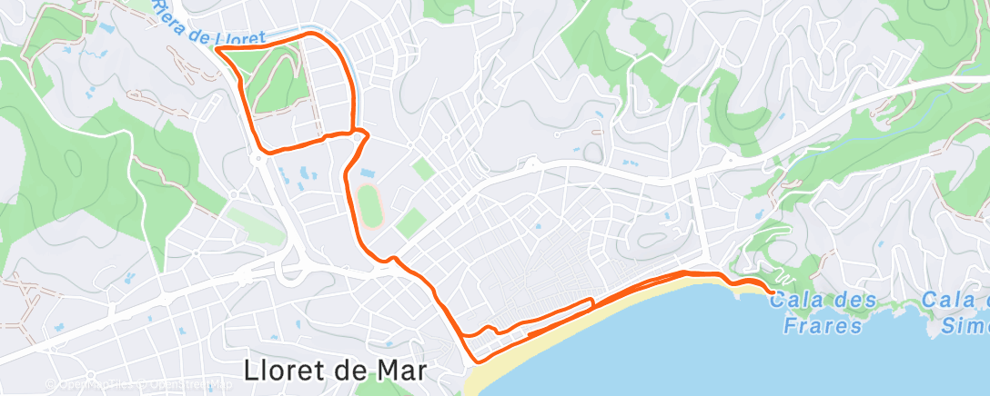 Карта физической активности (Вечерний забег)