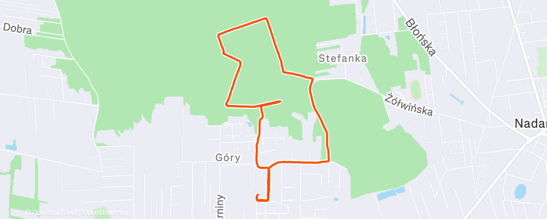 Карта физической активности (Morning Walk)