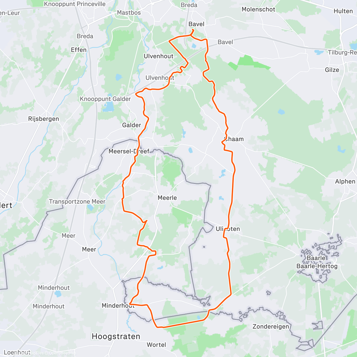 Map of the activity, Begeleiding