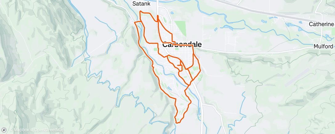 Map of the activity, Vitamin P