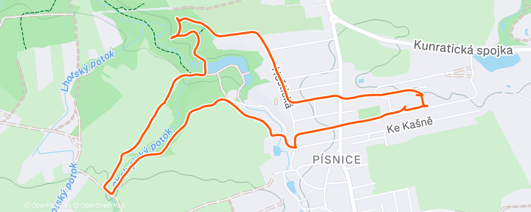 Карта физической активности (Afternoon Walk)