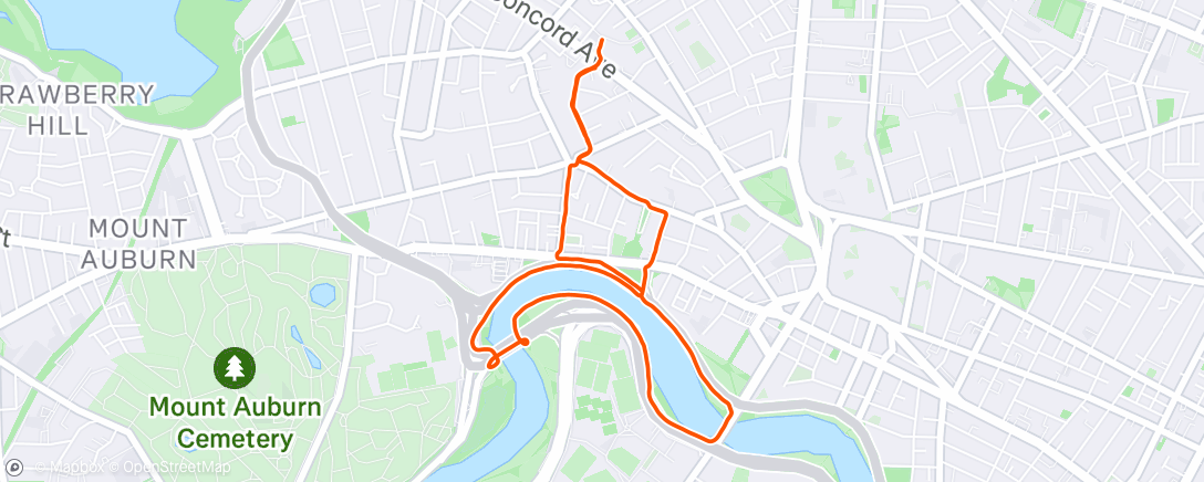 Map of the activity, Afternoon Run