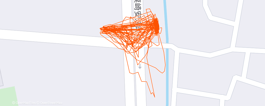 Map of the activity, 朝のランニング