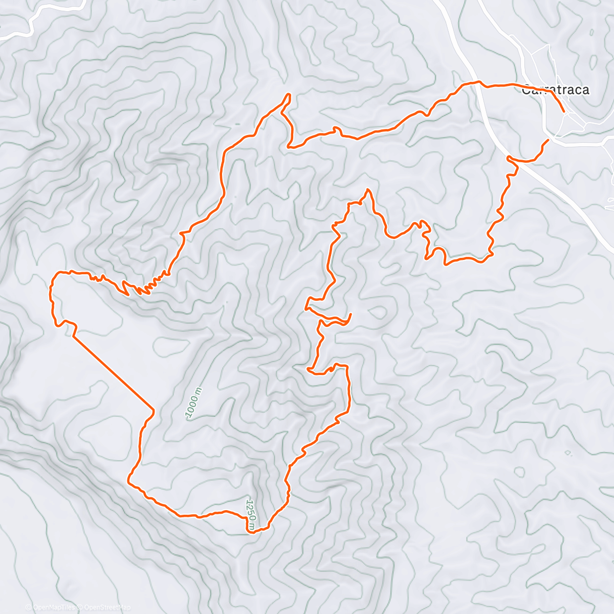 Карта физической активности (Morning Run)