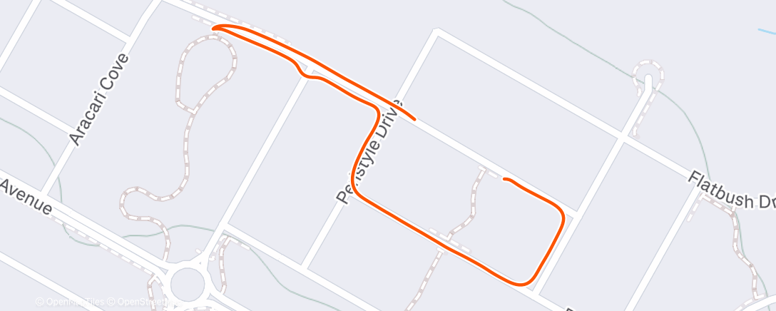 Карта физической активности (Evening Run)