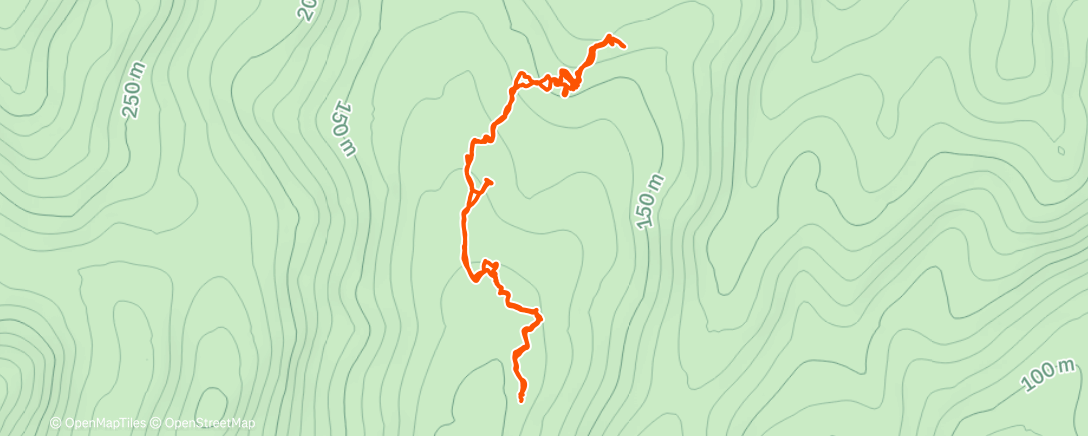 Map of the activity, Morning Trail Run
