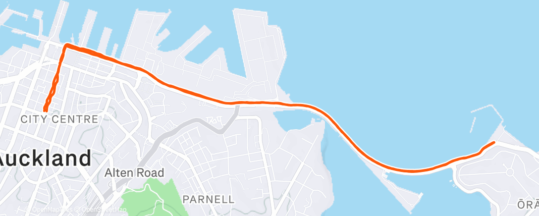 Map of the activity, Tempo Intervals Run