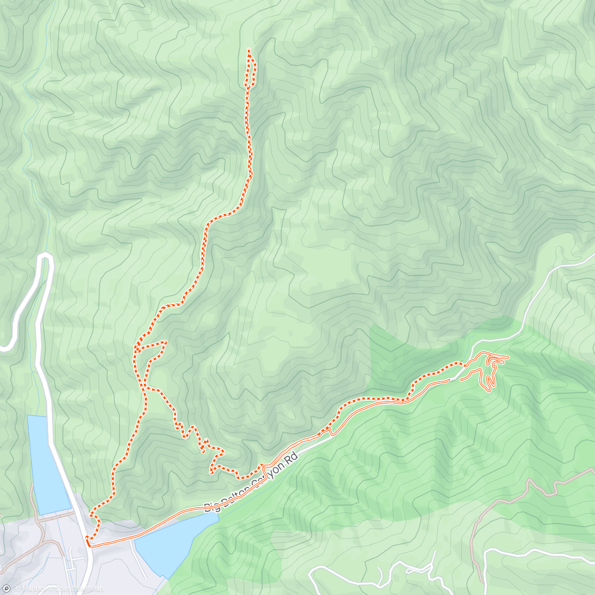 Map of the activity, Morning Trail Run-