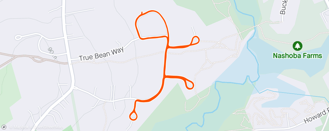 Map of the activity, Morning Run ☁️