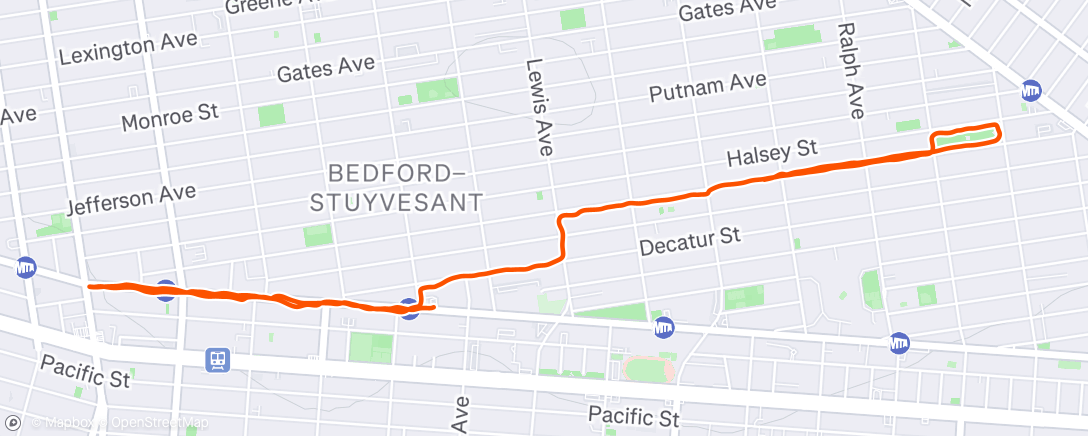 Map of the activity, Evening Run