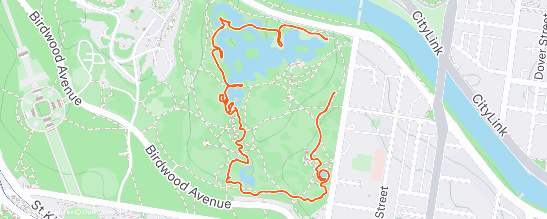 Mappa dell'attività garden birds