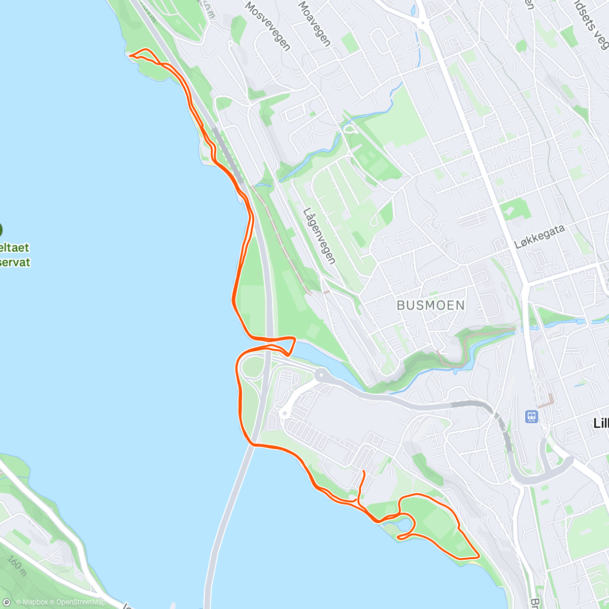 Map of the activity, Afternoon Run - liten restitusjonsjogg langs Mjøsa på hjemveien