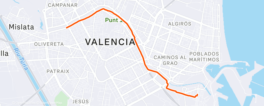 Map of the activity, Evening Run