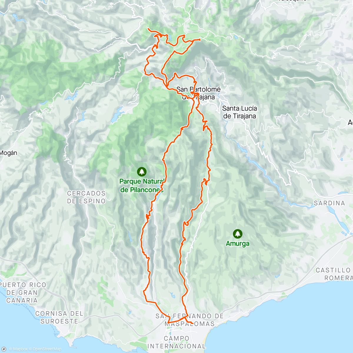 Map of the activity, Pico de las Nieves MTB