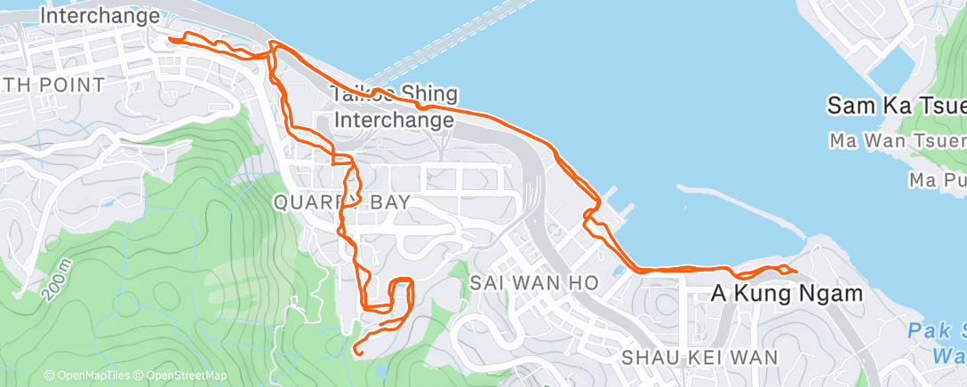 Map of the activity, Xmas recovery run