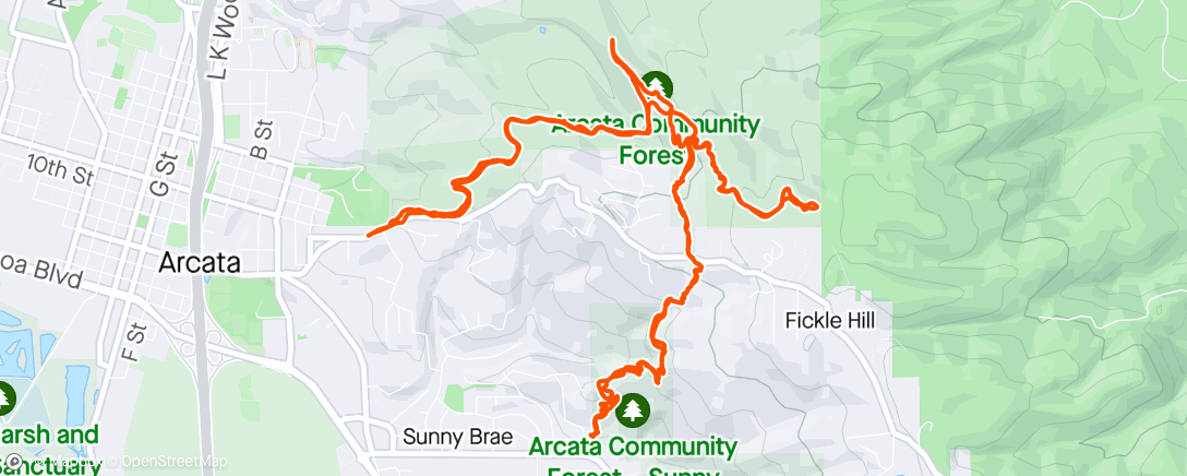 Map of the activity, to Sunnybrae and back