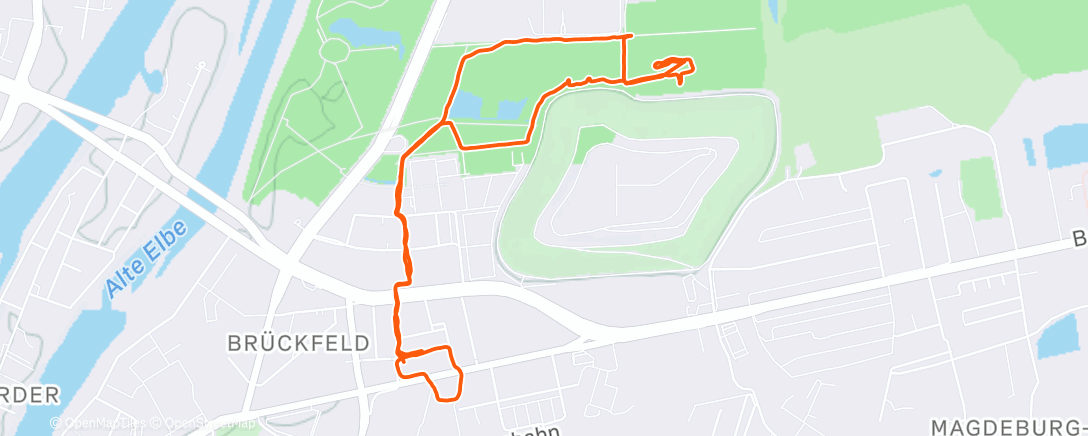 Карта физической активности (afternoon walk)