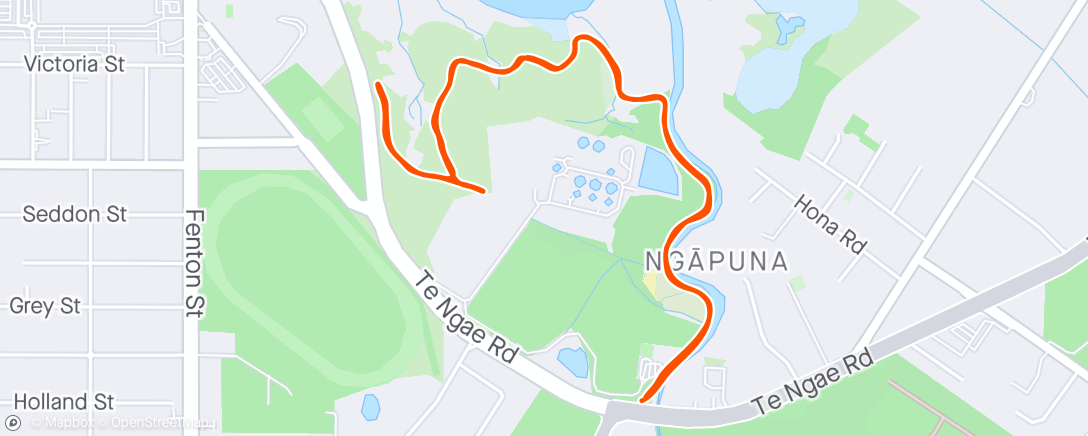 Map of the activity, Park Run/Walk
