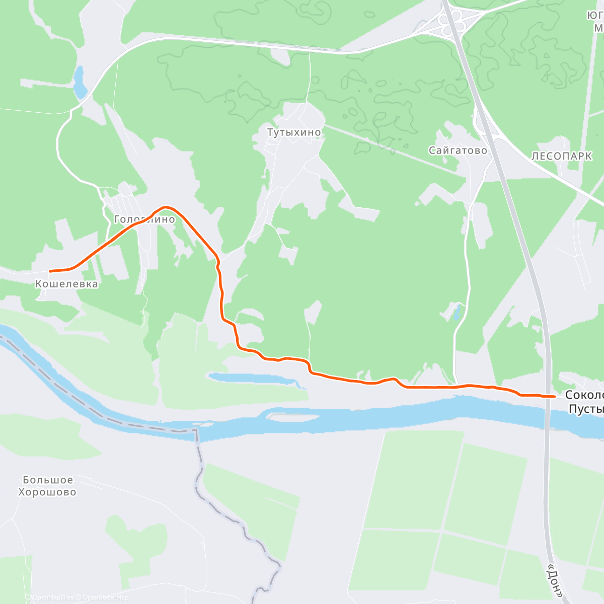 Карта физической активности (Утренний забег)