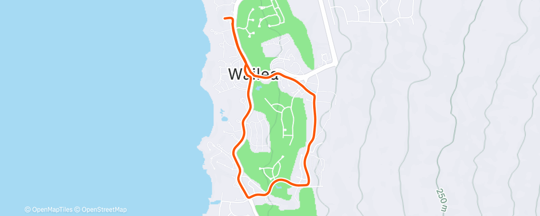 Map of the activity, Maui 2025 Walk 1