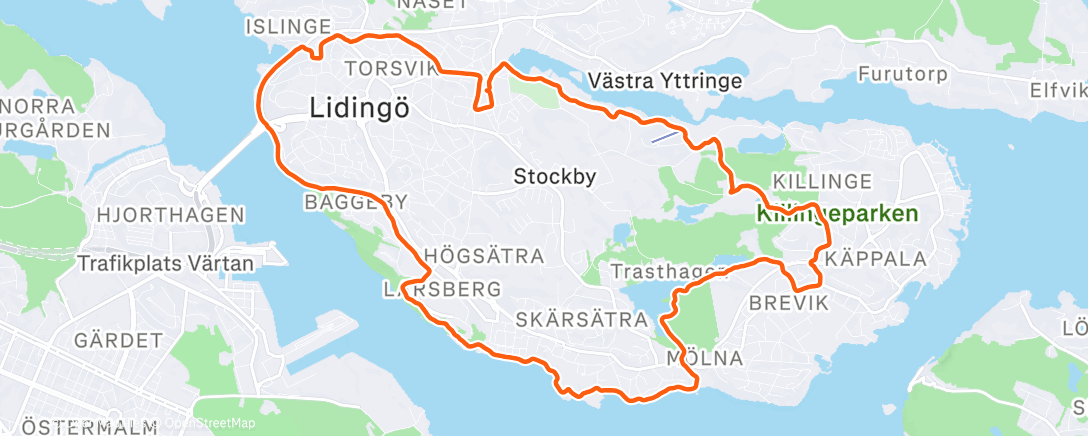 Карта физической активности (Morning Run)