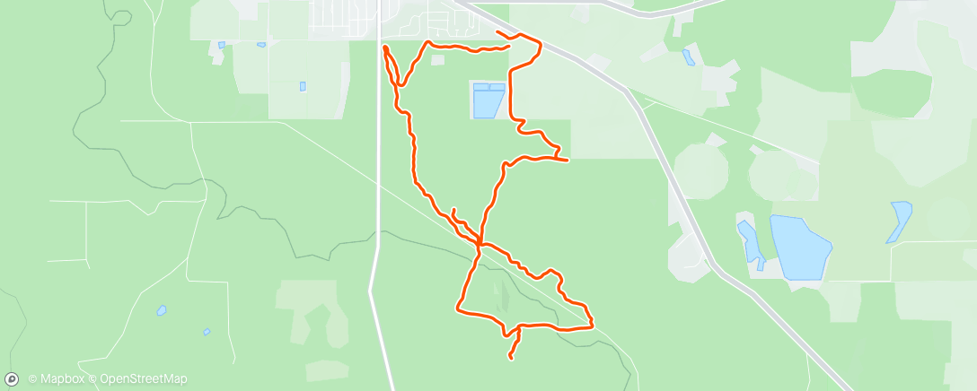 Map of the activity, Morning Trail Run