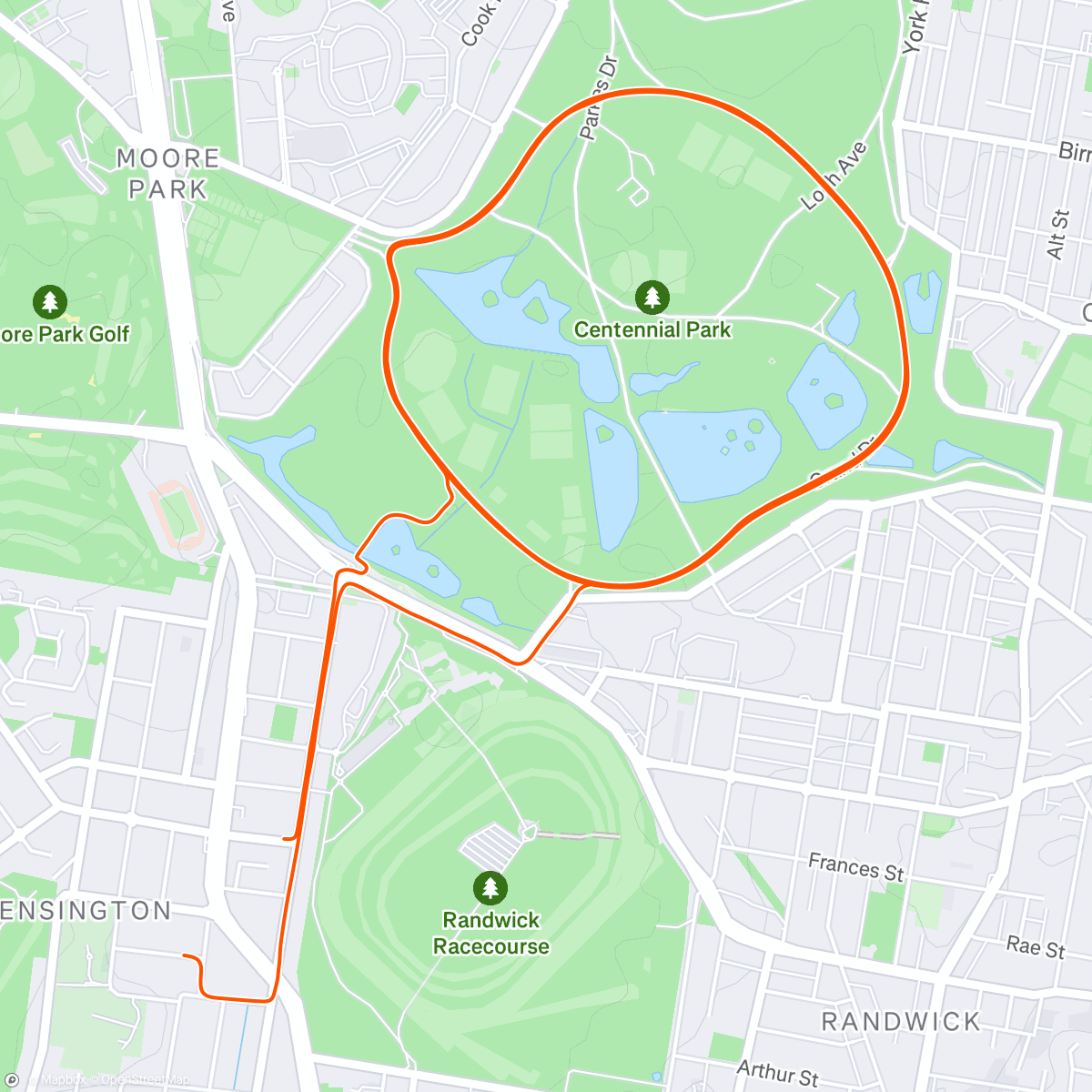 Map of the activity, Salty bibs are back