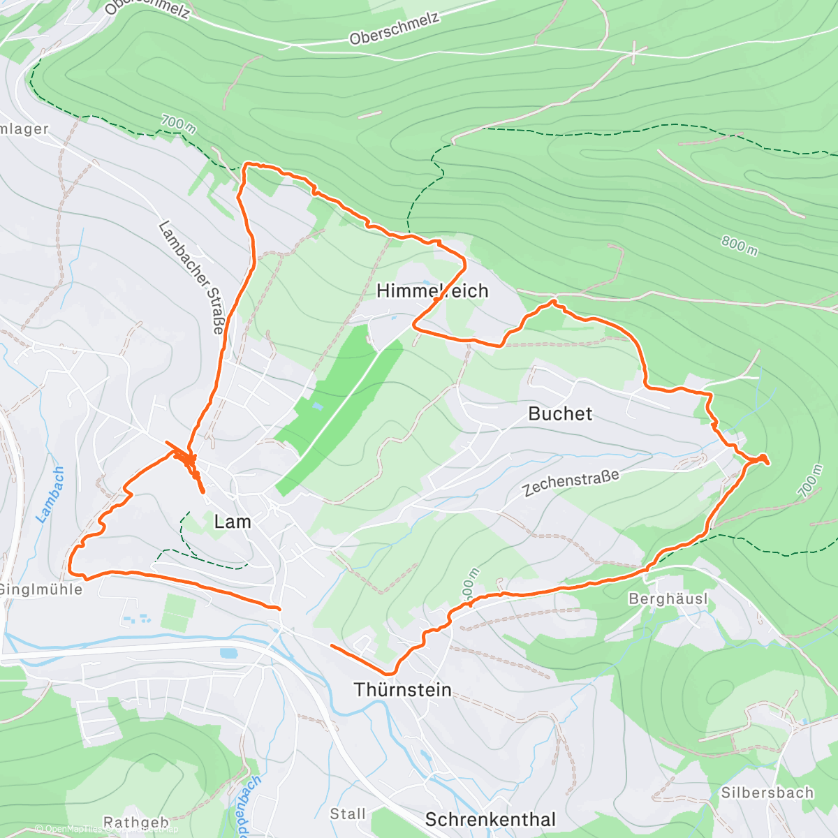 Карта физической активности (Wanderung am Morgen)