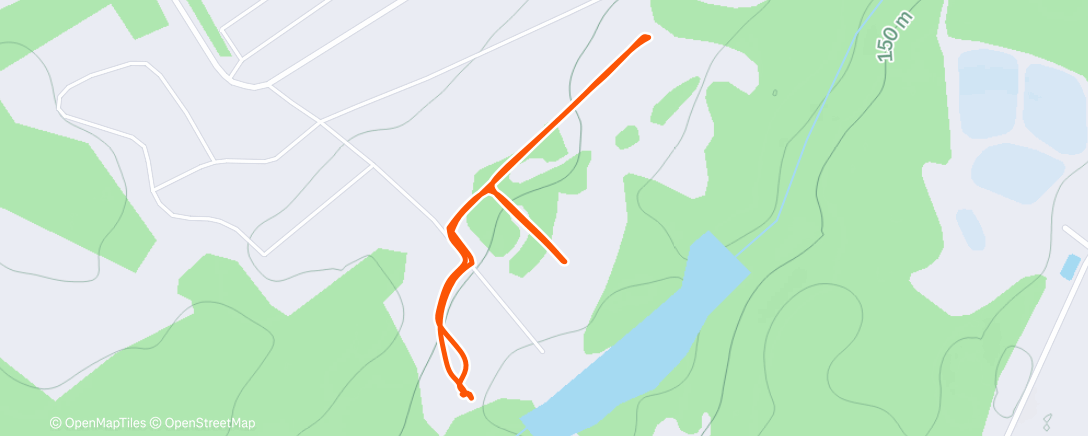 Карта физической активности (Ночная ходьба)