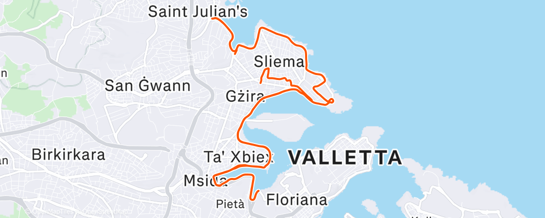 Map of the activity, Morning Run