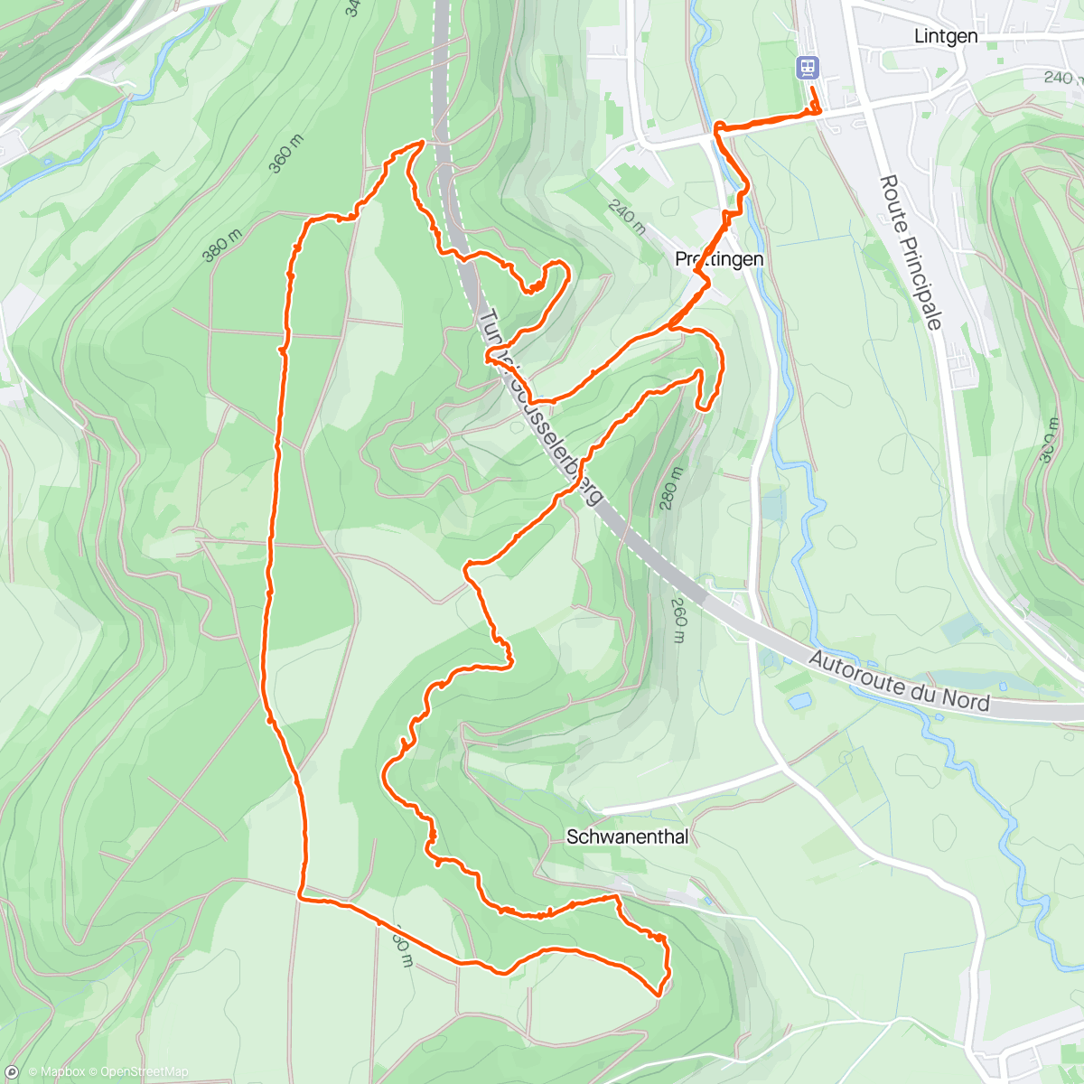 Карта физической активности (Guttland.Trail Schéiferei (☁️"🌧️"💨))