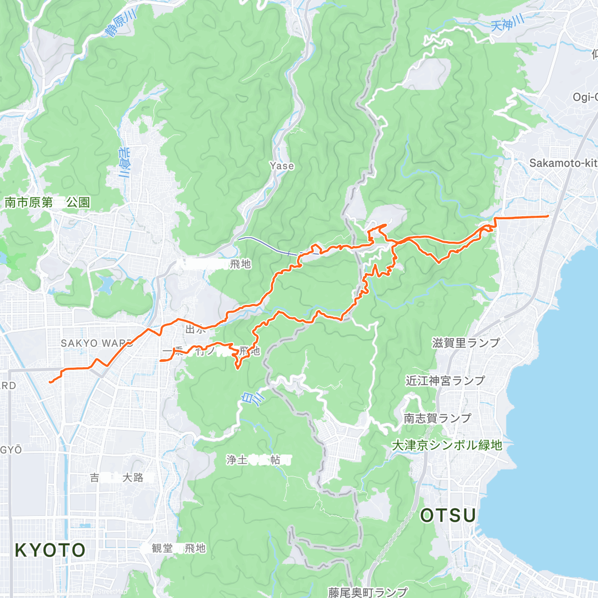 Карта физической активности (Verra's Hiezan Hoot)