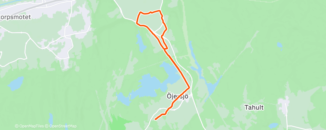 Map of the activity, Afternoon Run