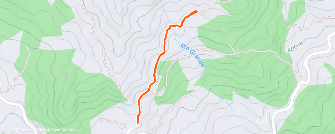 Карта физической активности (Camminata dell'ora di pranzo)