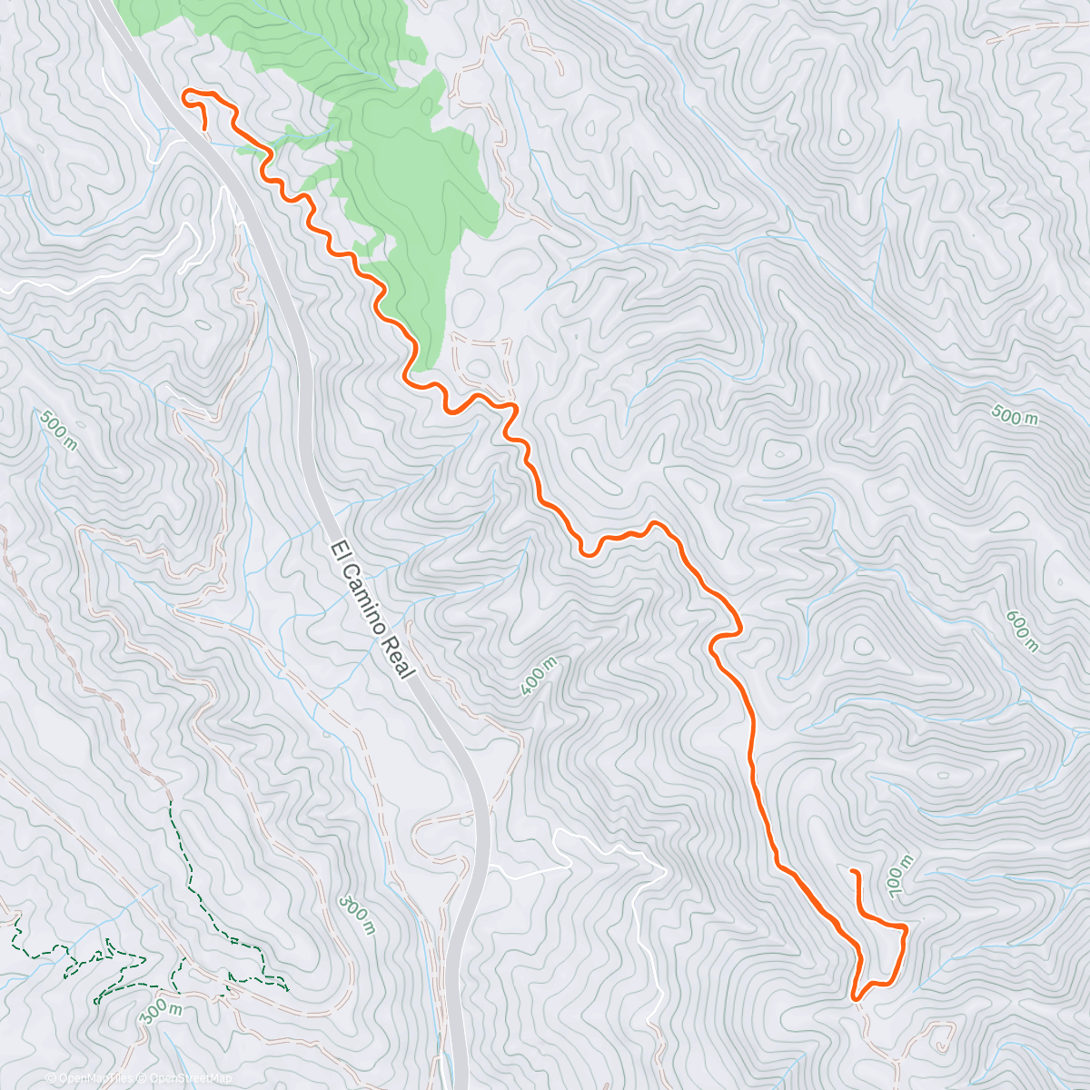 Map of the activity, 60min w/ Strides