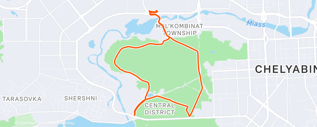 Карта физической активности (Утренний забег)