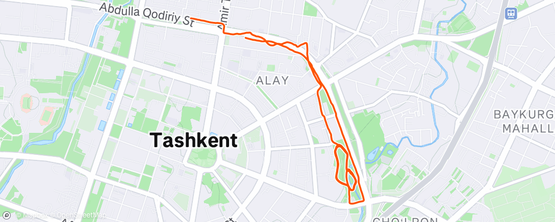 Map of the activity, Evening Run