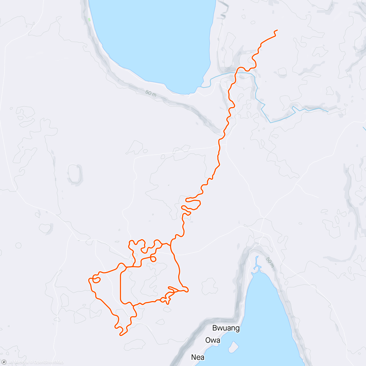 Map of the activity, Zwift 1:30 chill ride -