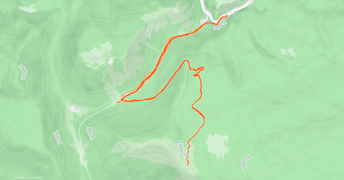 www.strava.com