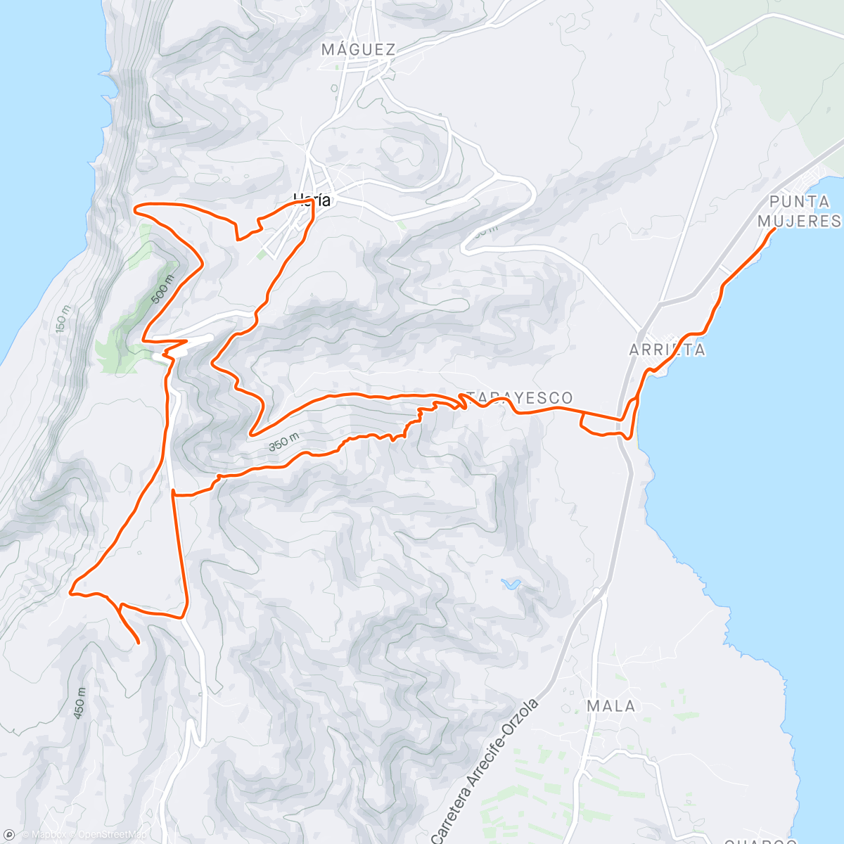 Mapa da atividade, Lunch Trail Run "Идите Лесом"