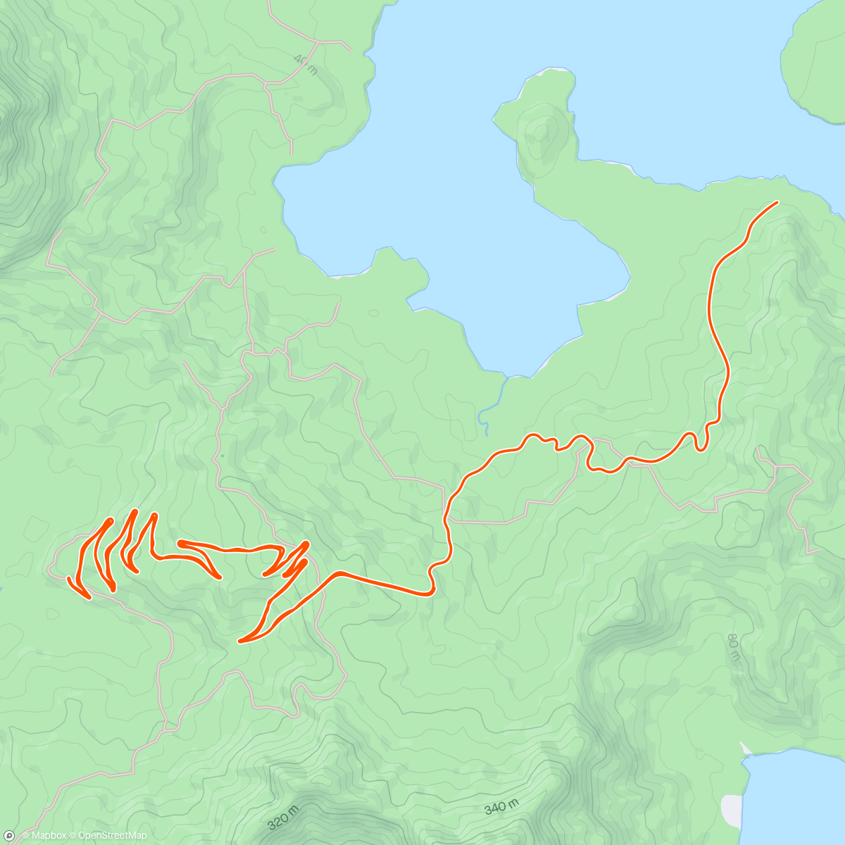 Map of the activity, Zwift - 6*4 Z5 in Watopia