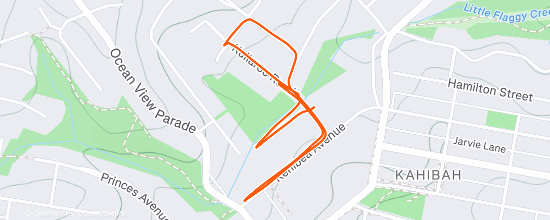 Карта физической активности (Evening Run)