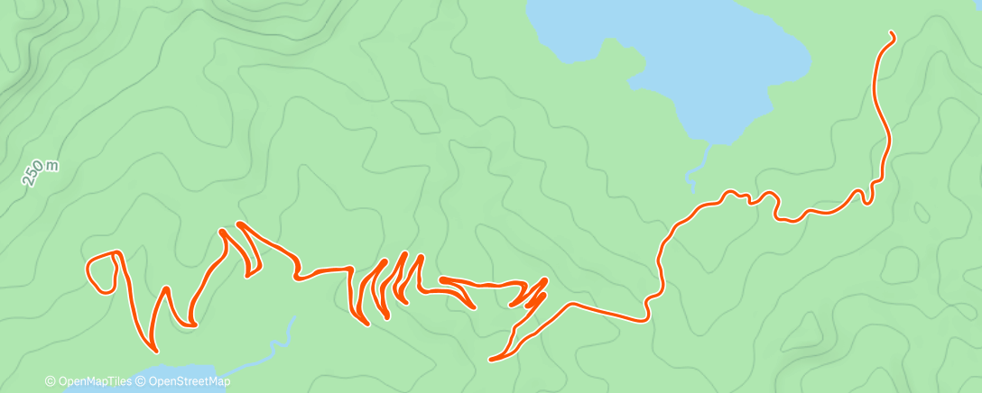 Map of the activity, New Years Alpe du’Zwift TT