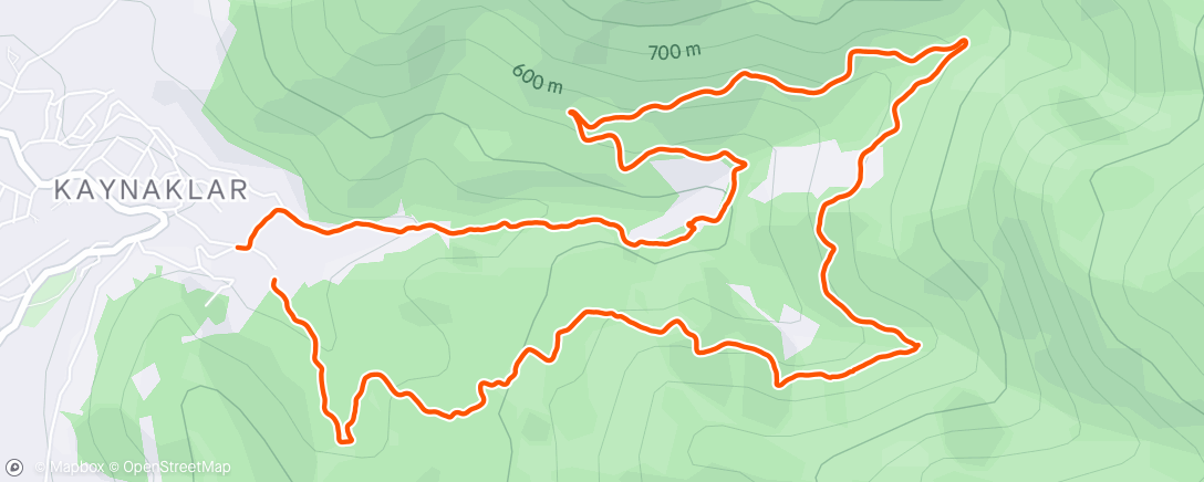Map of the activity, Morning Run