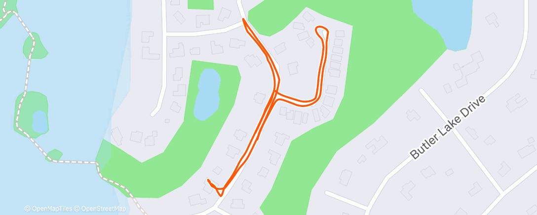 Карта физической активности (Doggies)