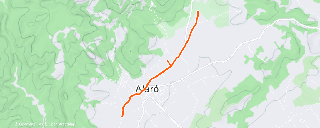 Карта физической активности (Morning Run)