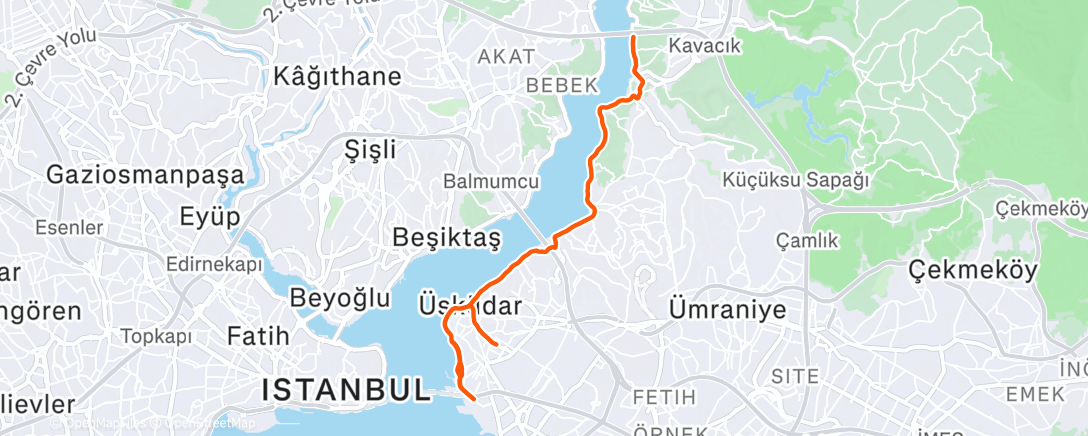 Карта физической активности (28.12.25 Pazar Uzunu)