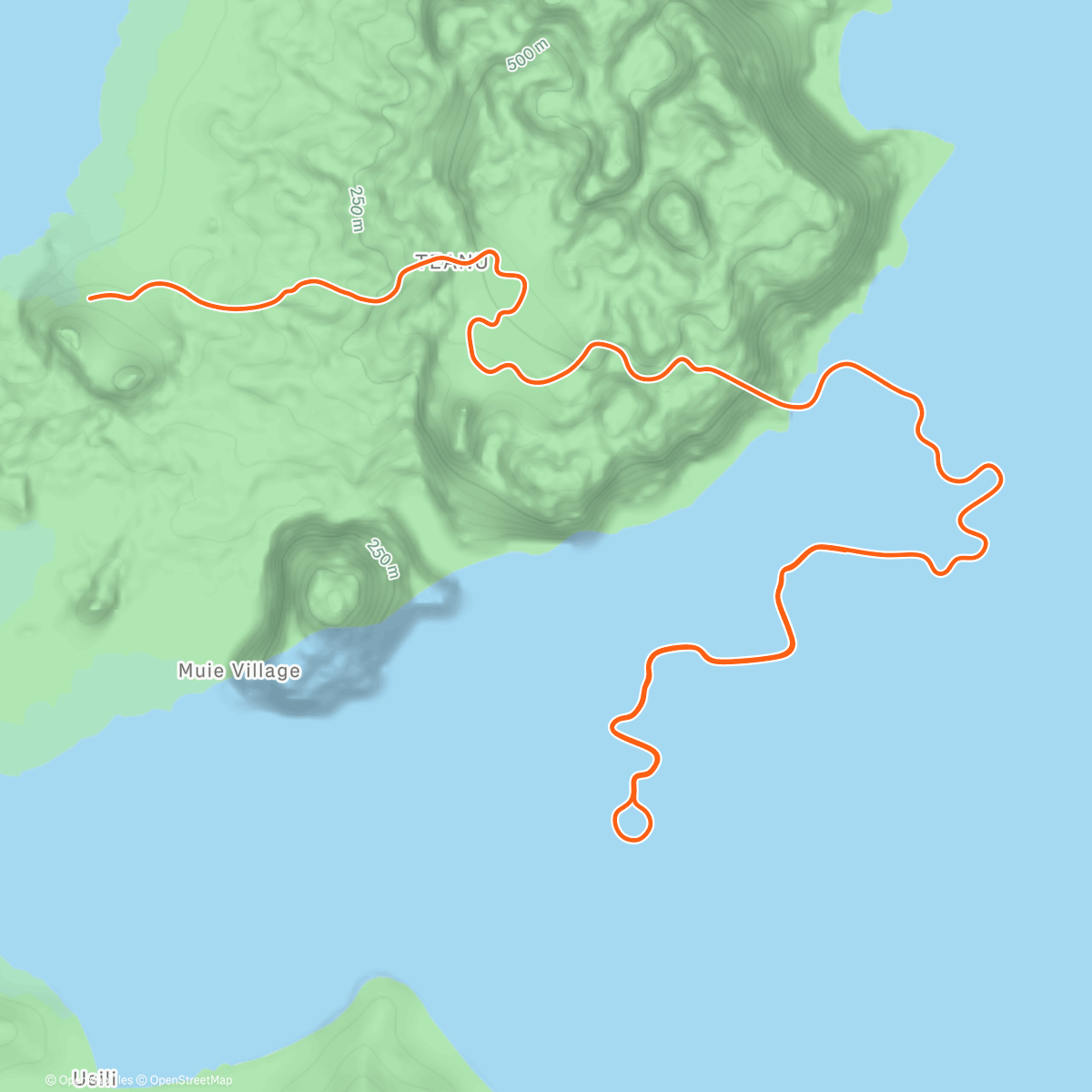 Map of the activity, Zwift - Flat Out Fast in Watopia